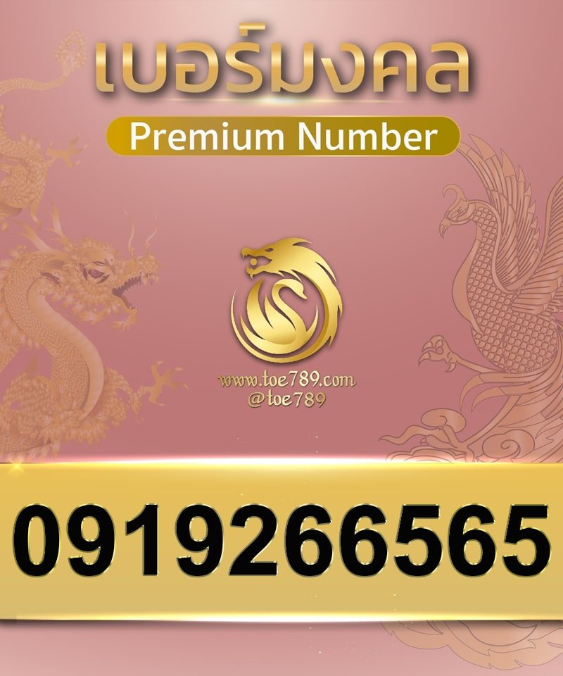 0919266565