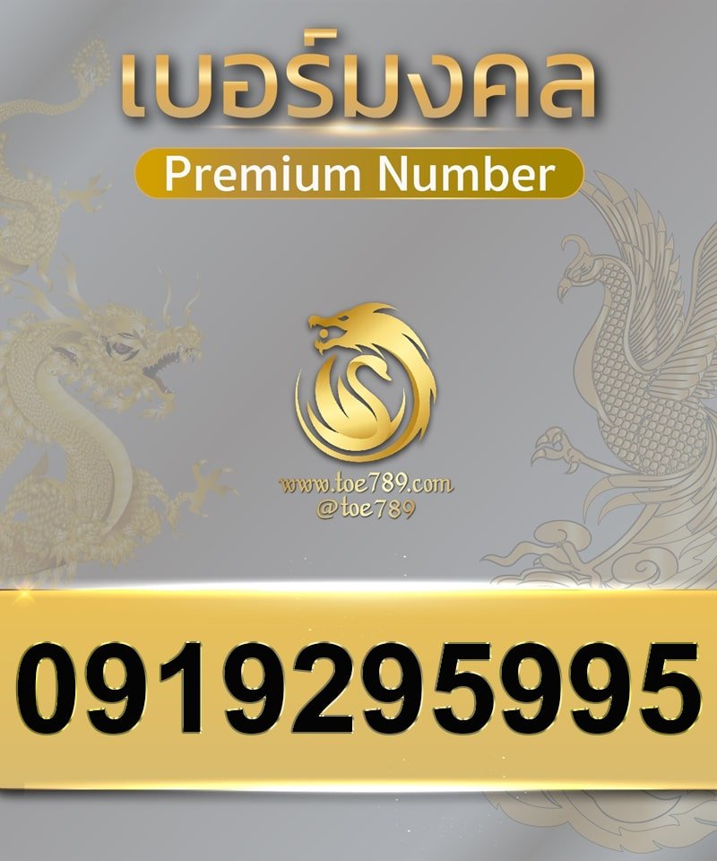 0919295995