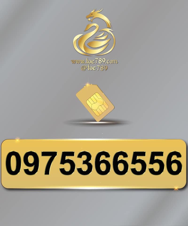 0975366556