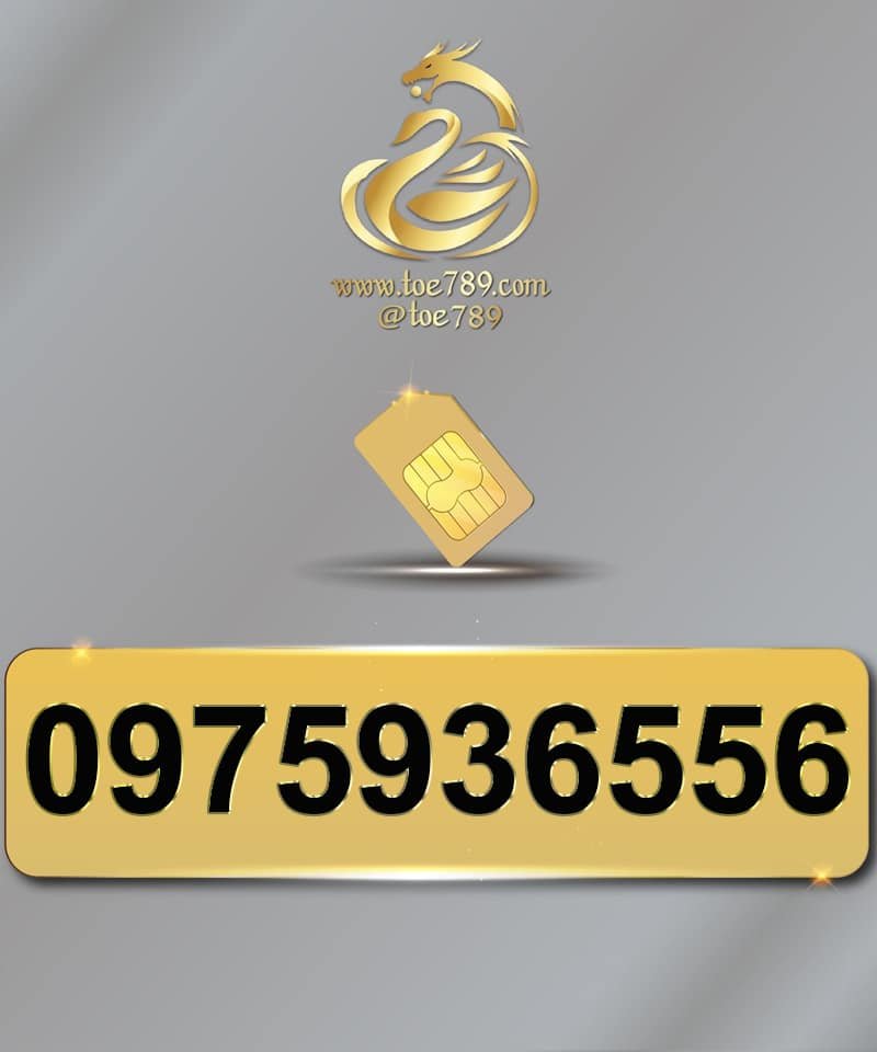 0975936556