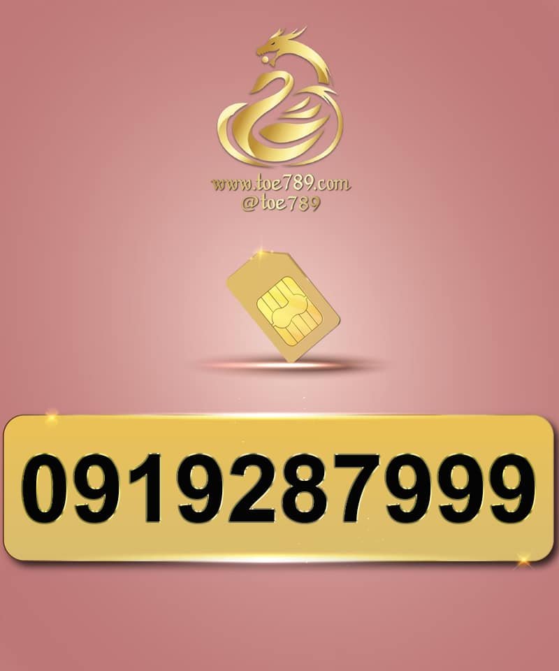 0919287999