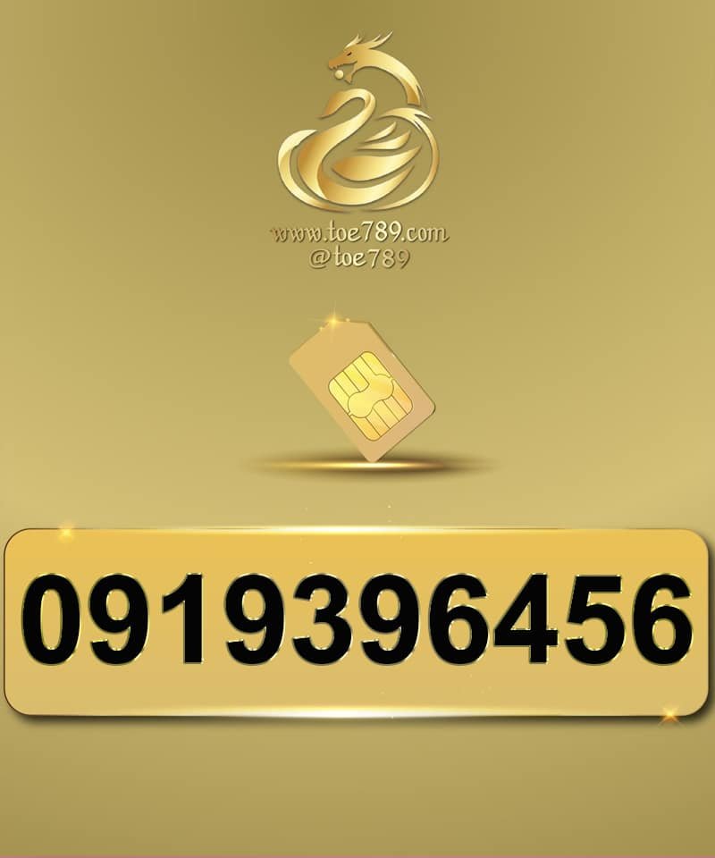 0919396456