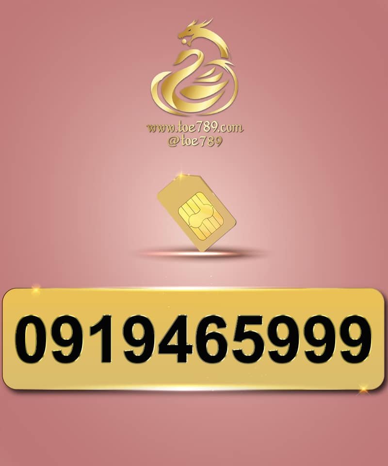 0919465999