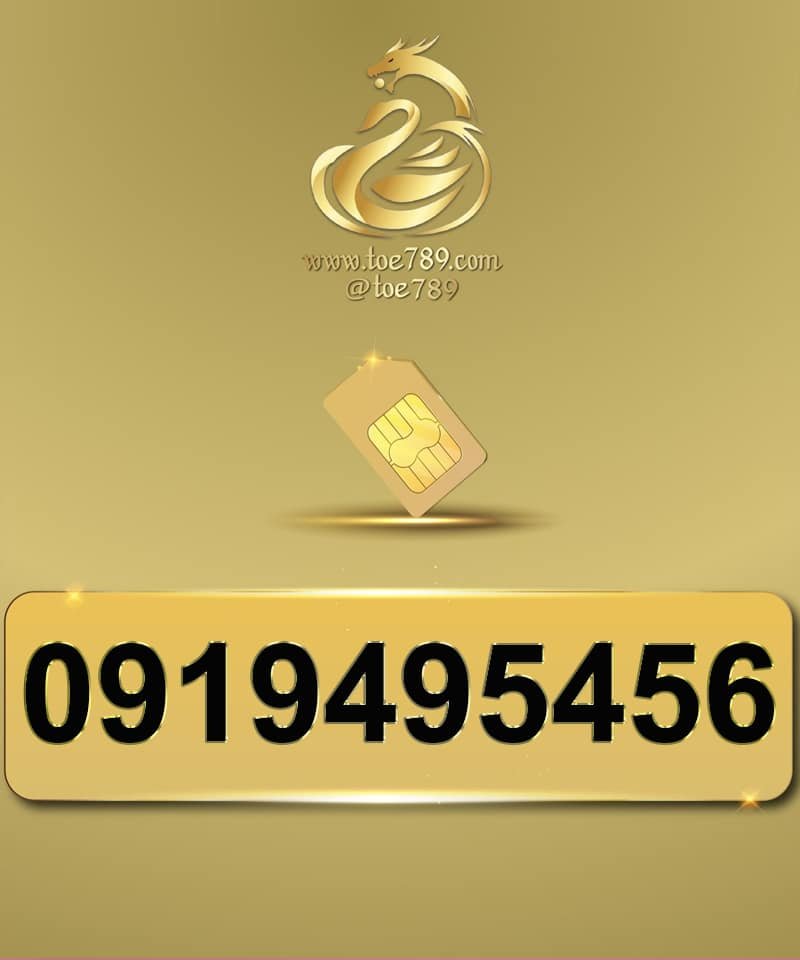 0919495456