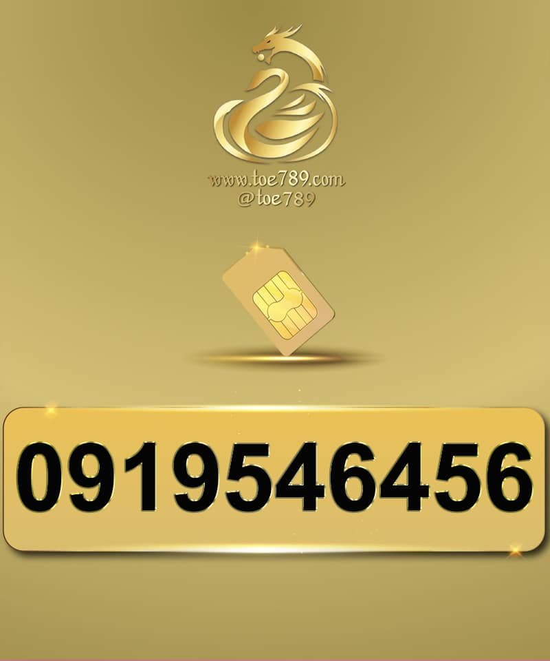 0919546456