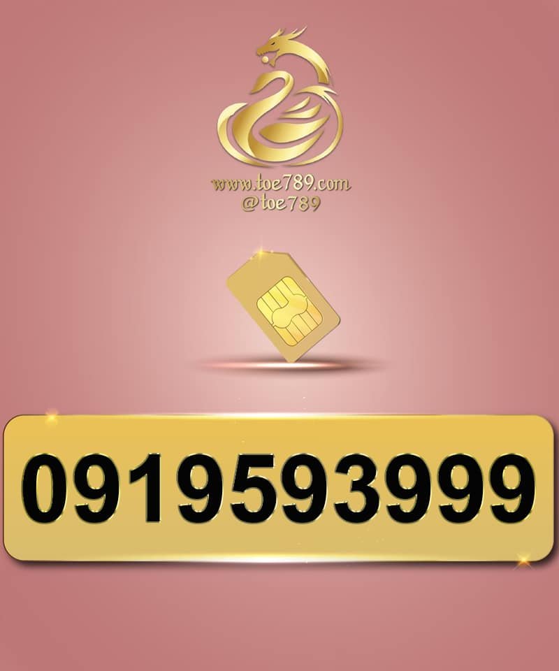 0919593999