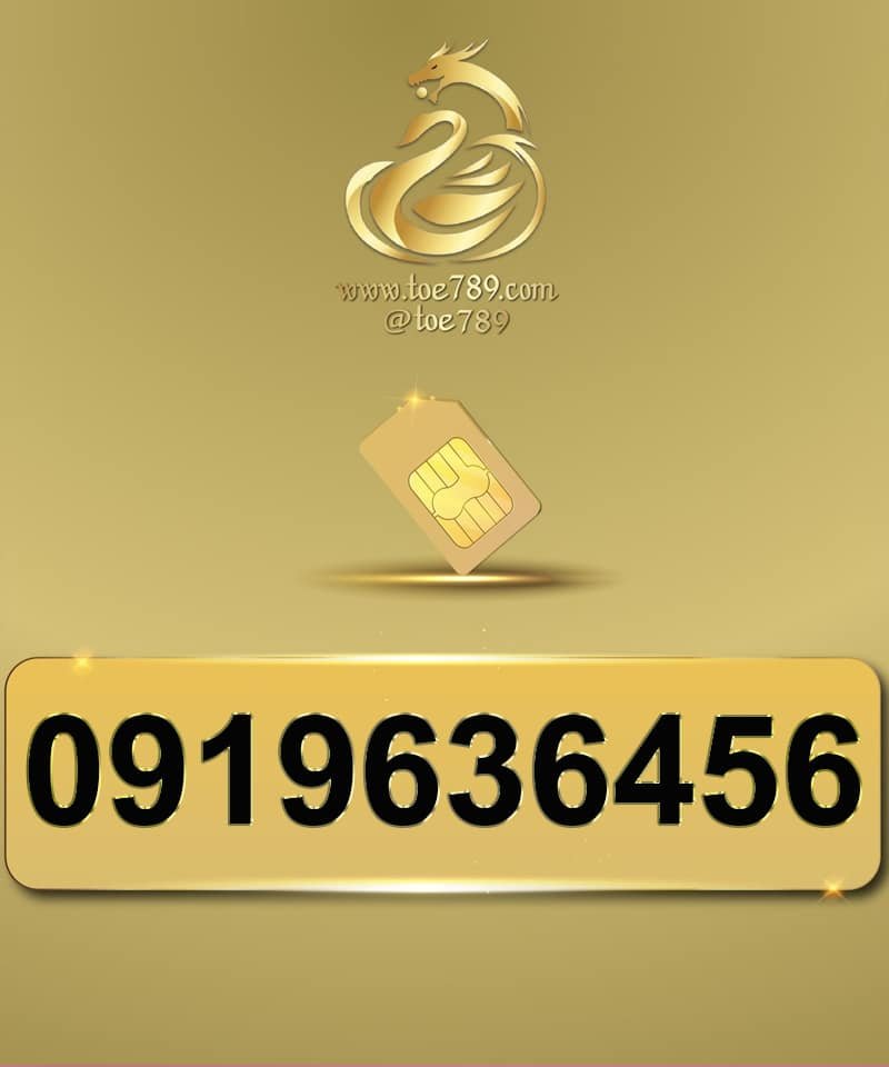 0919636456