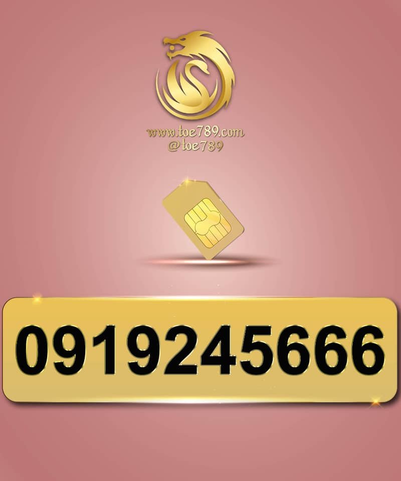 0919245666