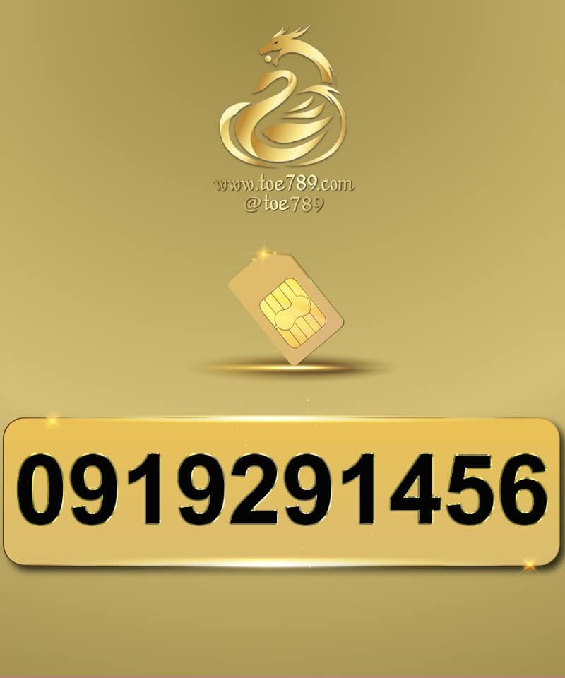 0919291456