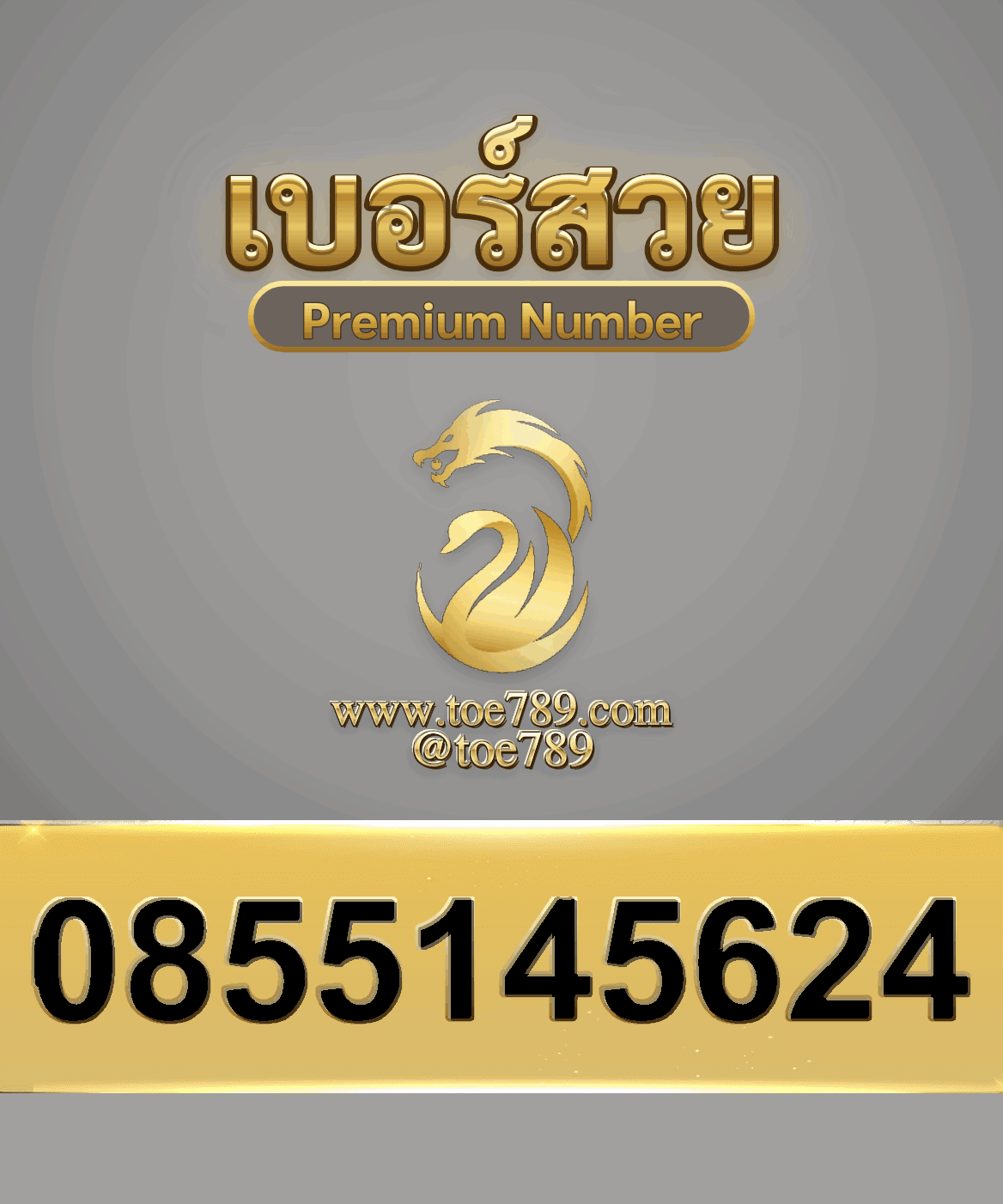 0855145624-1.png