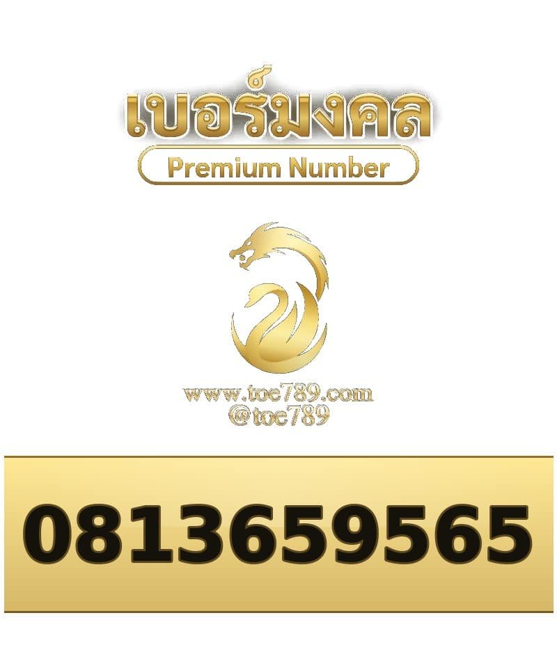 081-365-9565