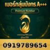 091-978-9654 เบอร์กลุ่มมังกร A+++