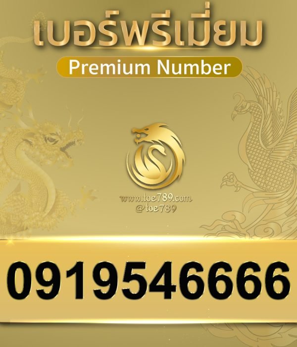 0919546666