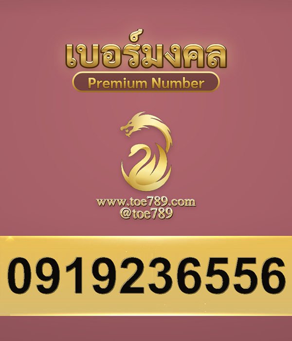 0919236556