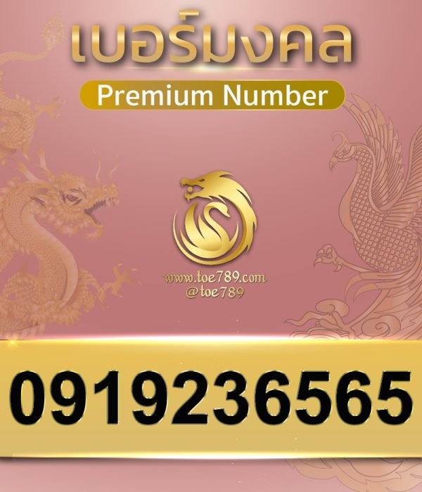 0919236565