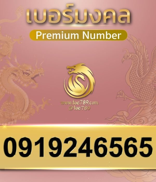 0919246565