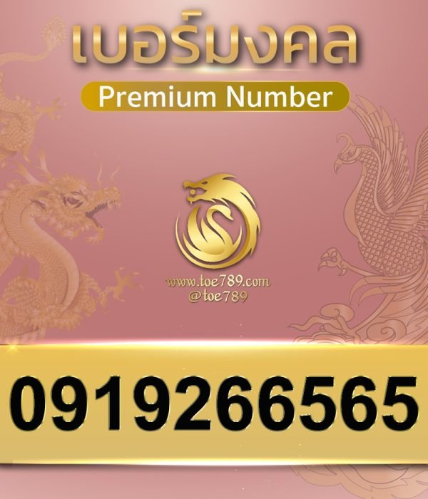 0919266565