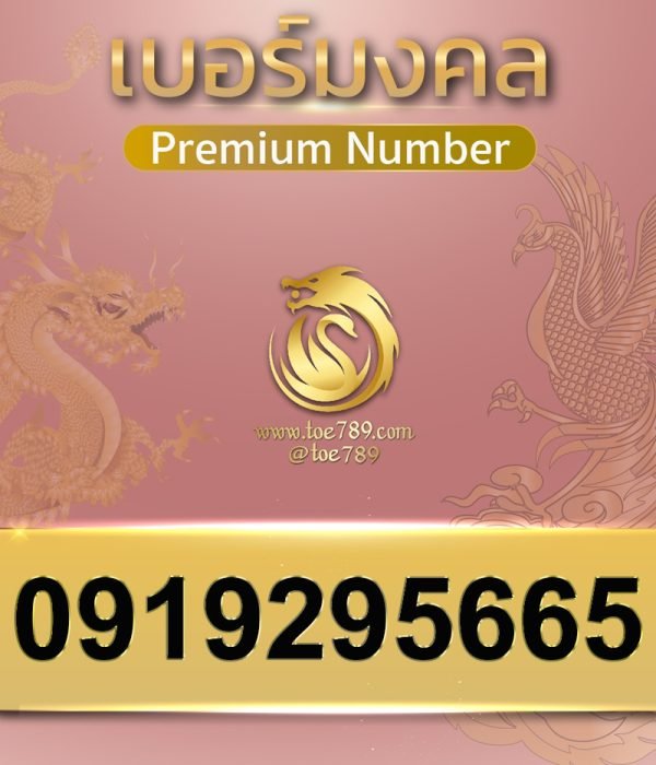 0919295665