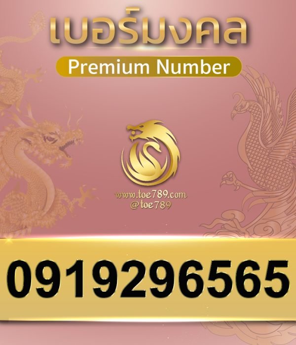 0919296565
