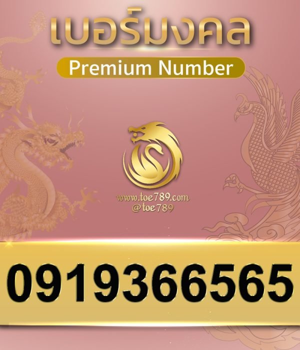 0919366565