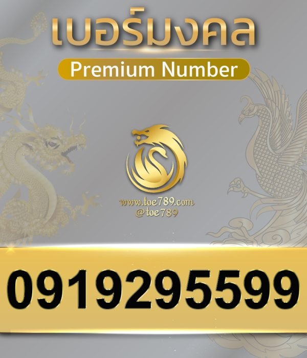 0919295599