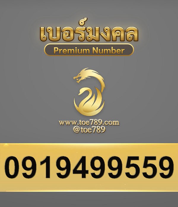 0919499559