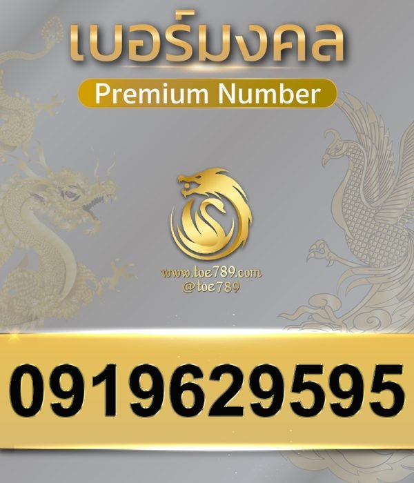 0919629595
