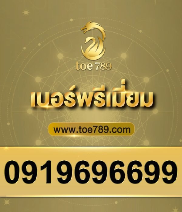 0919696699