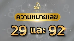 ความ หมายเลข 29