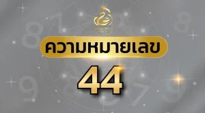 ความหมายเลข 44