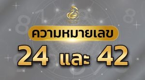 ความหมายเลข 24 และ 42