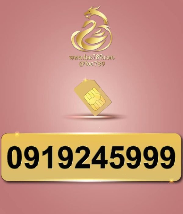 0919245999