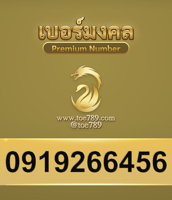 0919266456