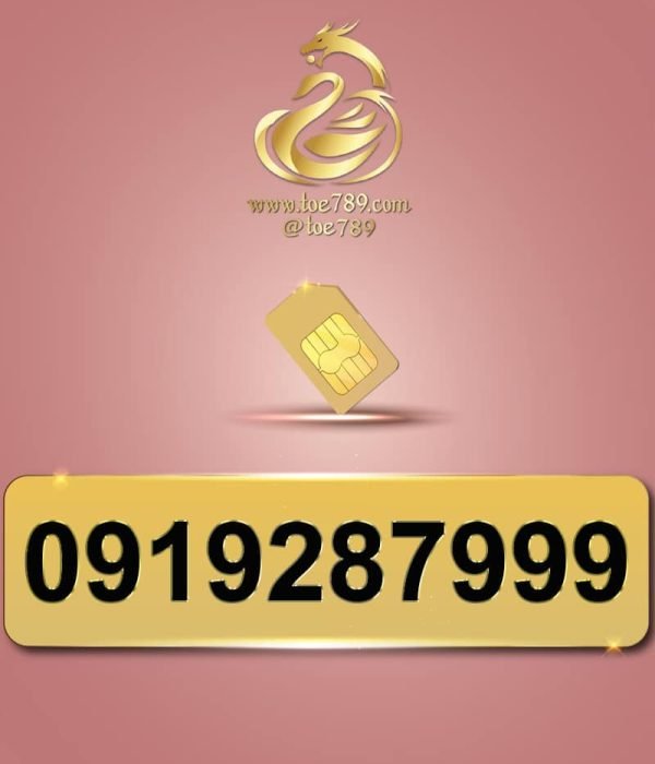 0919287999