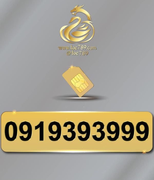 0919393999