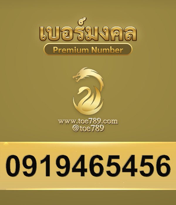 0919465456
