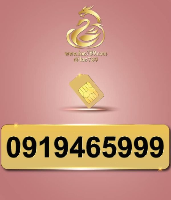 0919465999