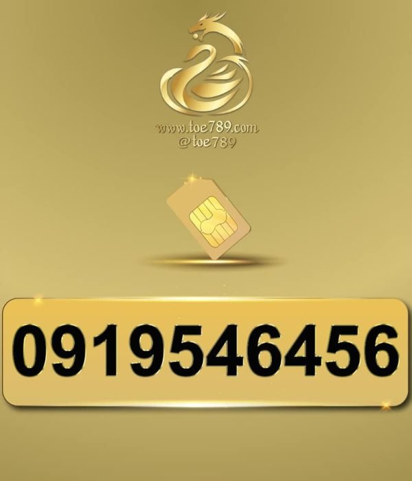 0919546456