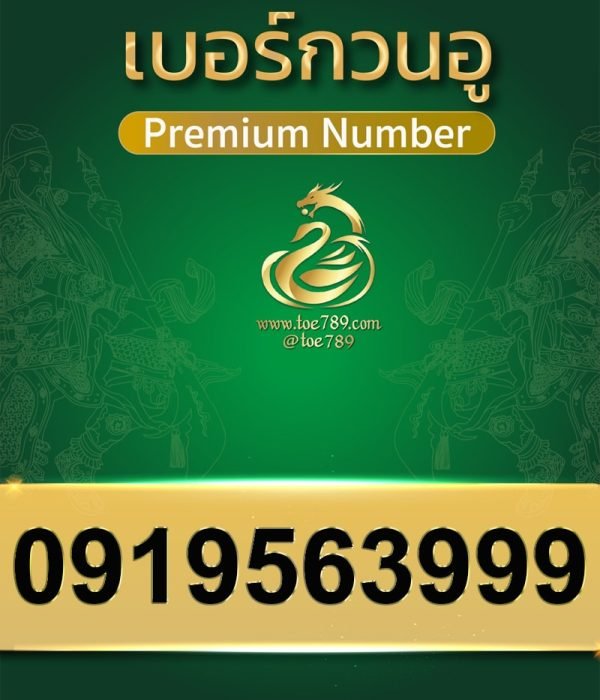 0919563999