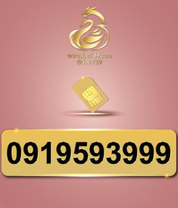 0919593999