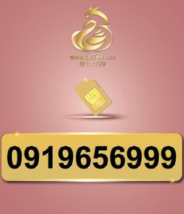 0919656999