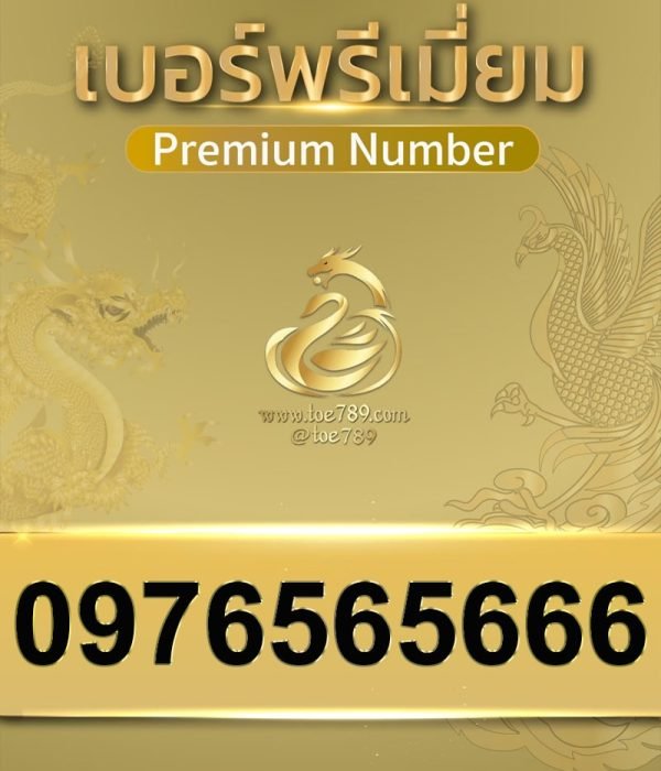 0976565666