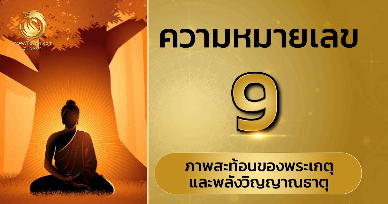 เลข 9