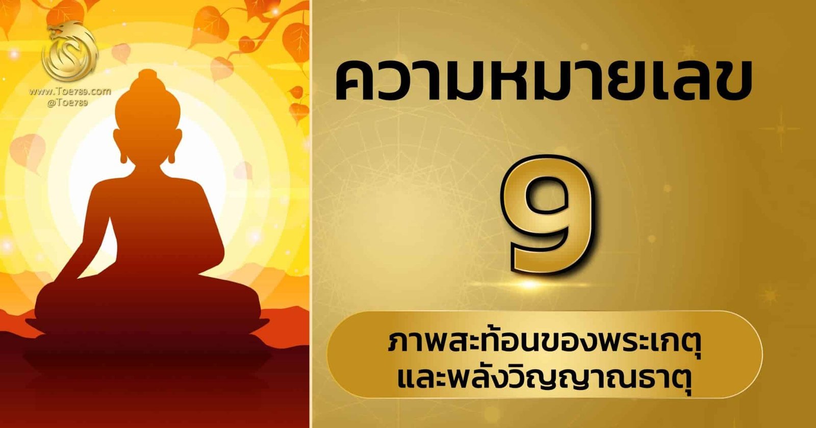 ความ หมายเลข 9