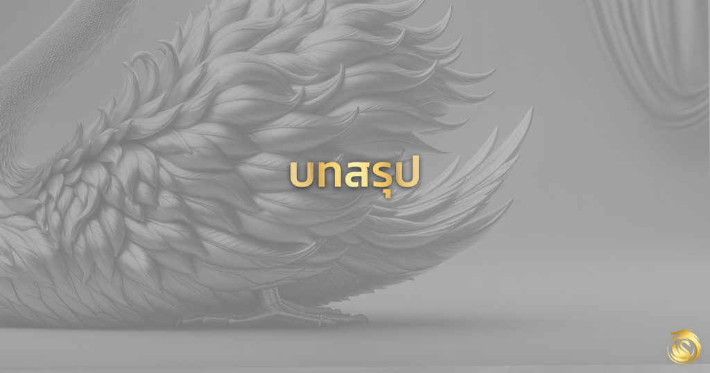 สรุป
