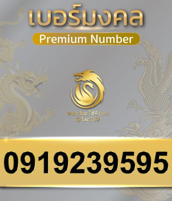 0919239595