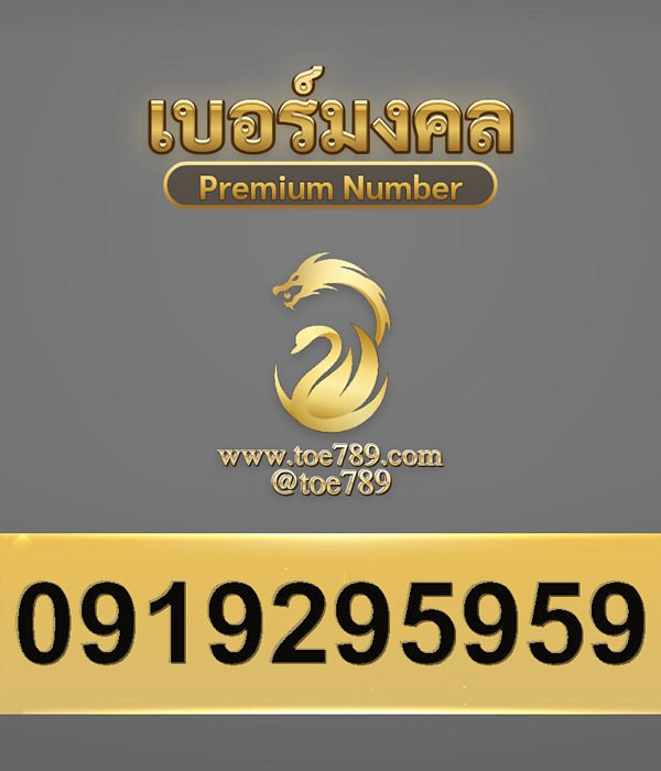 0919295959