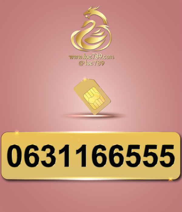 0631166555