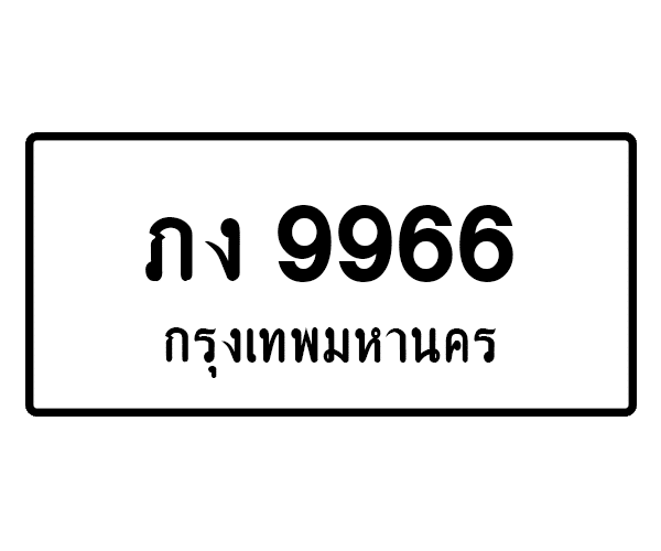 ภง 9966