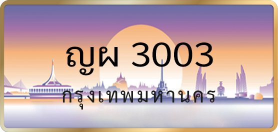 ญผ 3003